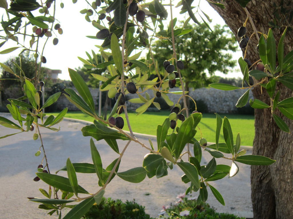 Willaria Country House Cursi Εξωτερικό φωτογραφία